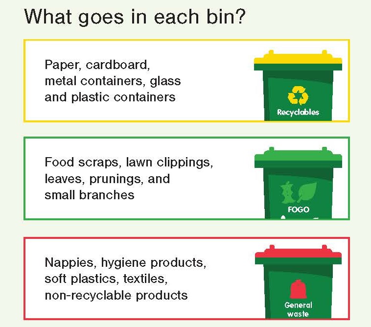 What goes in each bin.jpg