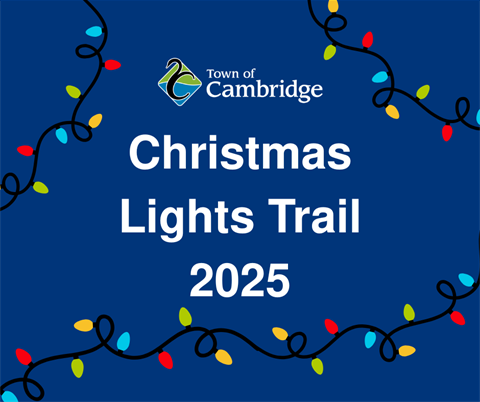 Social-Tile-Christmas-Lights-Trail.png