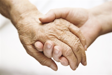 iStock_000009774358_Large.jpg