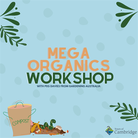 Copy of mega organics (Instagram Post).png